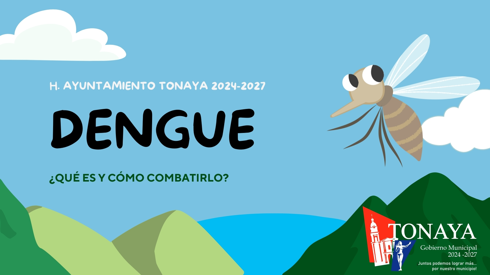 Campaña vs Dengue