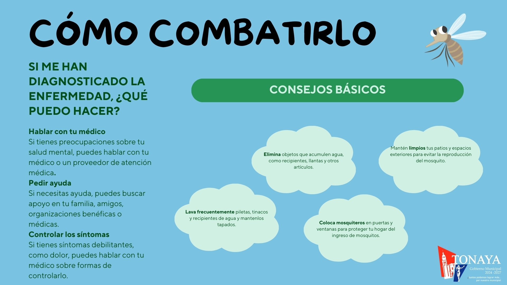 🦟 ¡Consejos para combatir el dengue! 🏡✨